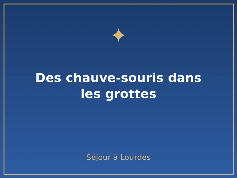 des chauve-souris dans les grottes